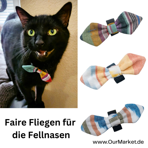 Fliegen für die Fellnasen